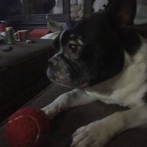 Meet your Posher, Karen